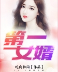 第一女婿陈风,小说全文阅读