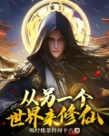 我从另一个世界归来 小说