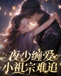 夜少缠爱小祖宗难追