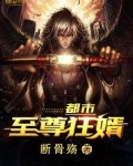都市至尊狂婿一滴海