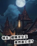 暗精领主异名