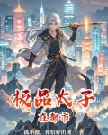 极品太子都市后宫