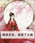 偶遇圣君,我抱了大腿的小说