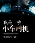 我是一名小司机