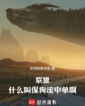 英雄联盟什么叫特效流
