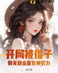 开局被借子,我无敌全靠女神努力的小说