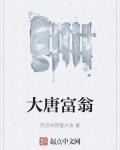 大唐富家翁