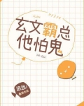 霸总的玄学妻