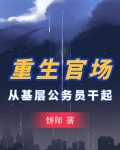 重生官场:从基层公务员干起饼师