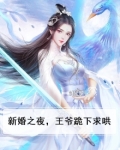 穿越新婚夜给王爷治腿
