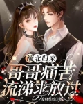 缅北归来,哥哥痛苦流涕求放过 第15章