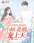 傅总的小可爱超甜小说