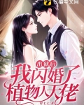 出狱后,我闪婚了植物人大佬 柠七七
