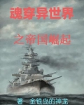 魂穿异世界之帝国崛起百度百科