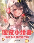 裴总裁的小甜妻小说