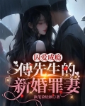 傅先生瘾婚成爱免费阅读