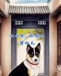 四合院:舔狗不得好死