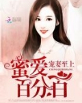 宠妻密要