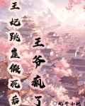 王妃假死逃离