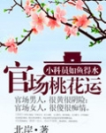 官道之步步高升完整版