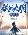 朕的大明朕做主