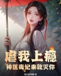 神医毒妃佚名
