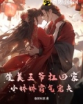 俊俏王爷小冤家