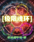 极限魂环配置