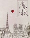 金小状 小说