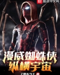 漫威蜘蛛侠:纵横宇宙