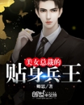 美女总裁的贴身兵王无痕免费阅读
