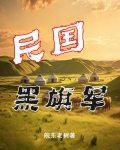 民国黑旗军小说