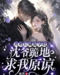 第3章离婚后怀孕