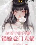 挺着孕肚闪婚,错嫁豪门大佬 微胖界的金克丝