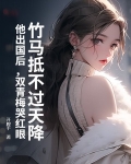 竹马青梅两小无猜小说