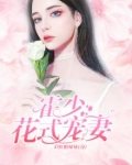 小说霍少宠妻超高调