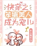笨蛋美人快穿无限文小说