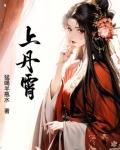 上丹霄小说