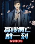 寡嫂简介