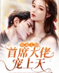 娇妻难逃首席大人求放