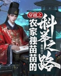 穿越之农家独苗苗的科举之路全文阅读