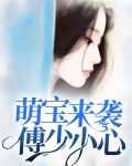 萌宝来袭傅先生大坏全文免费阅读