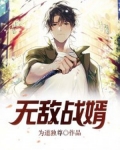 无敌战婿小说