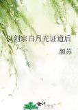 以剑宗白月光证道后